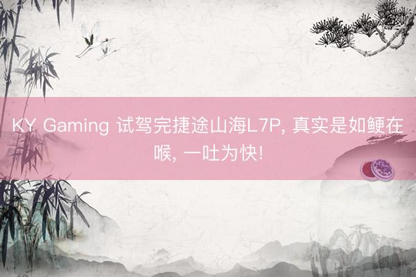 KY Gaming 试驾完捷途山海L7P, 真实是如鲠在喉, 一吐为快!